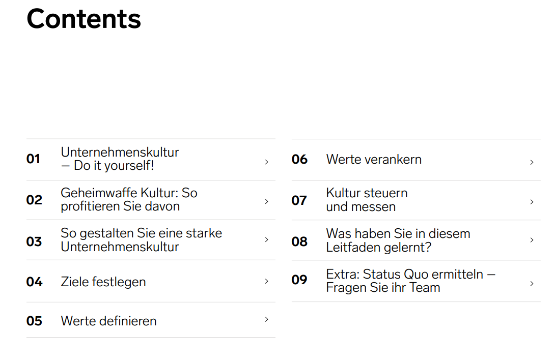 Leitfaden zum Thema 'Unternehmenskultur', dargestellt als professionelles Dokument