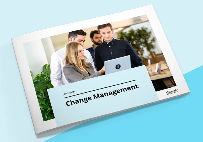 Change Management Leitfaden Vorschau