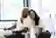 Two Personios sitting at their desks, smiling and hugging