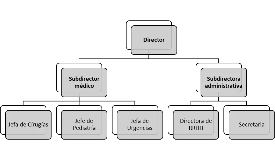Vertical Organizational Chart 1