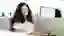 Remote-Work E-Mail-Kurs