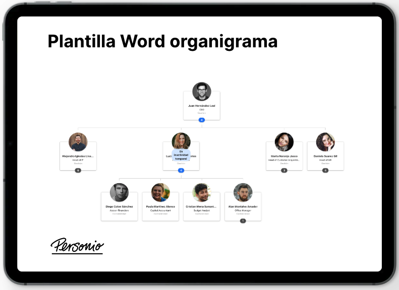 Plantilla organigrama Word