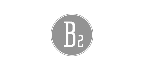 B2 Logo