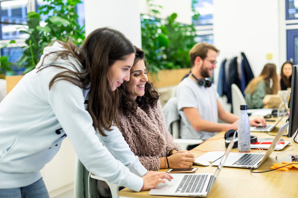 Zwei Frauen arbeiten an Laptops