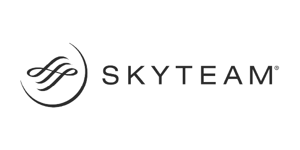 Skyteam Logo