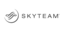 Skyteam Logo