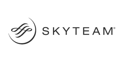 Skyteam Logo