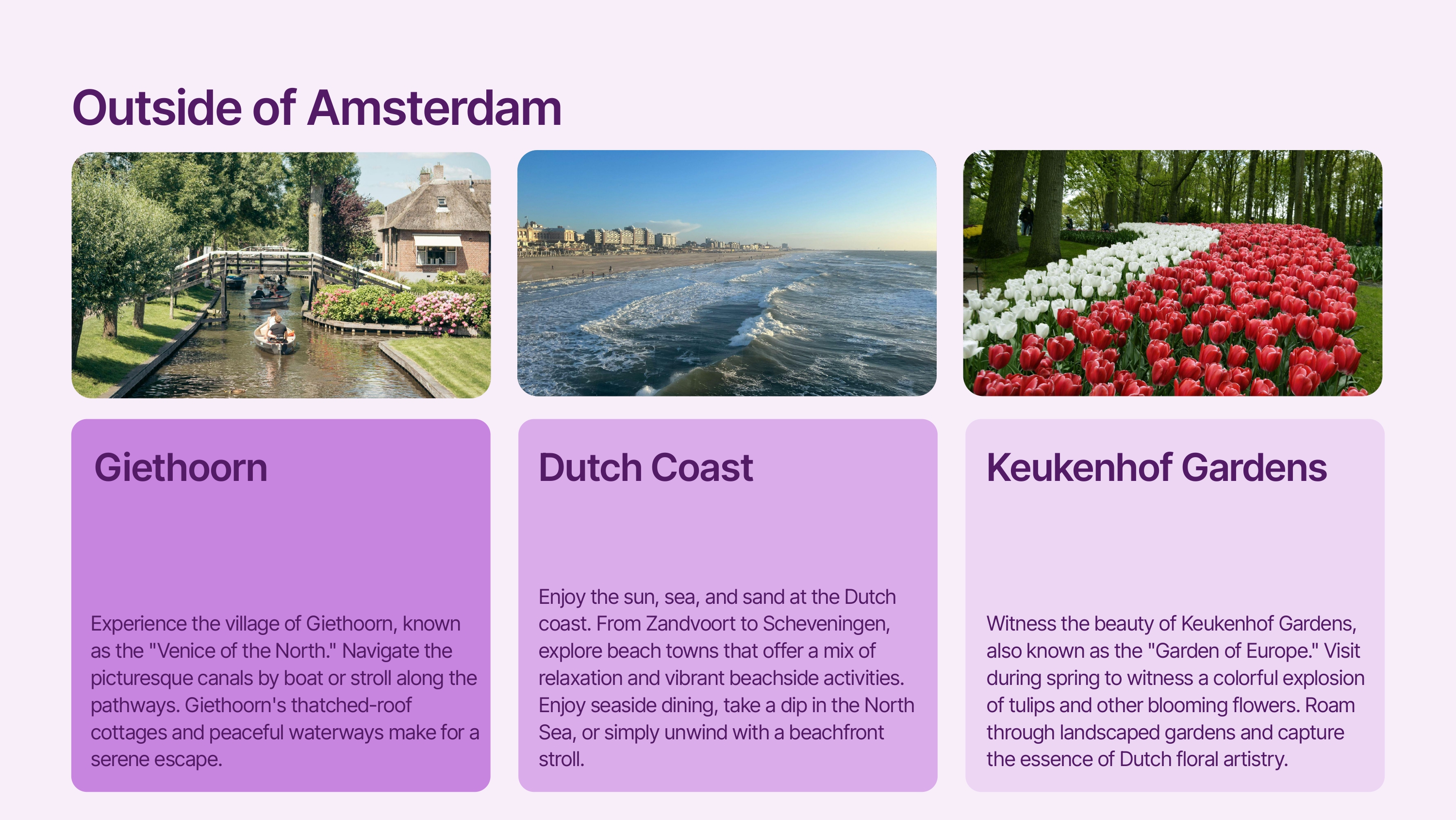 Amsterdam Office Slide Image 10