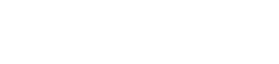 Techleap Logo White