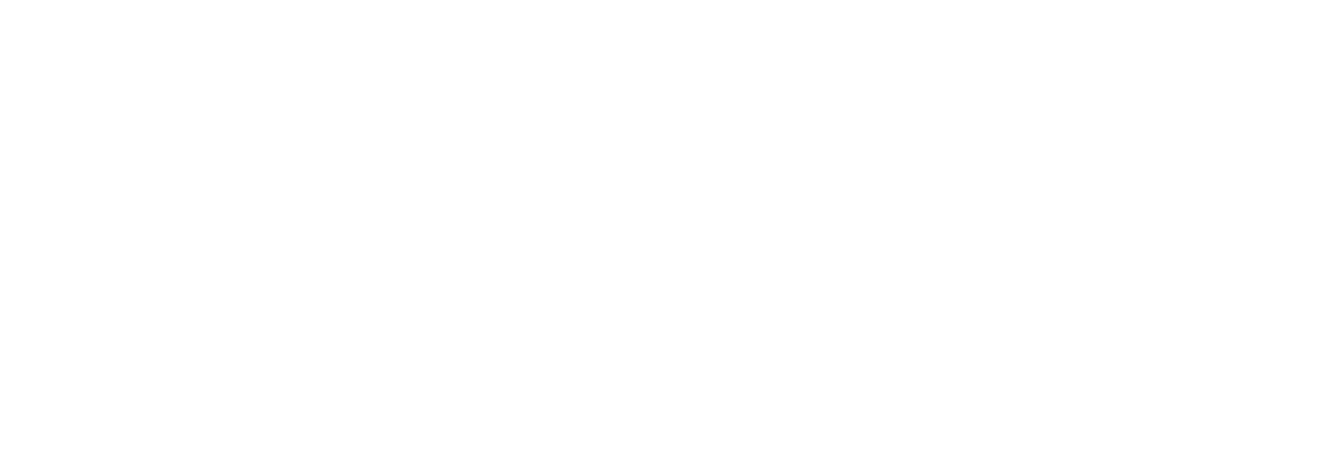 Swile Logo White
