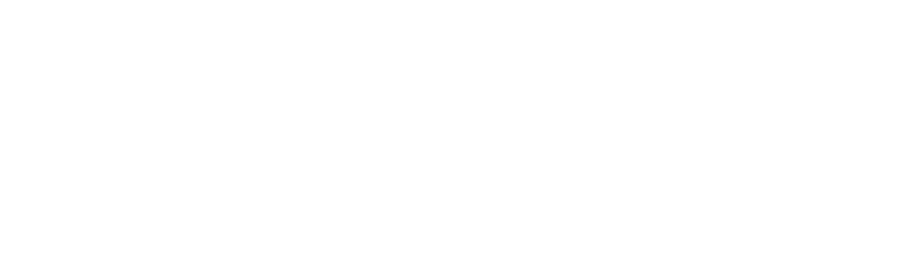 Hyntelo Logo White