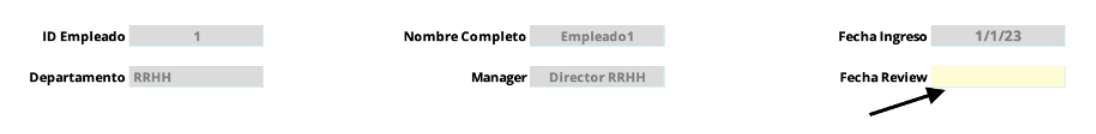 plantilla evaluación de desempeño excel 