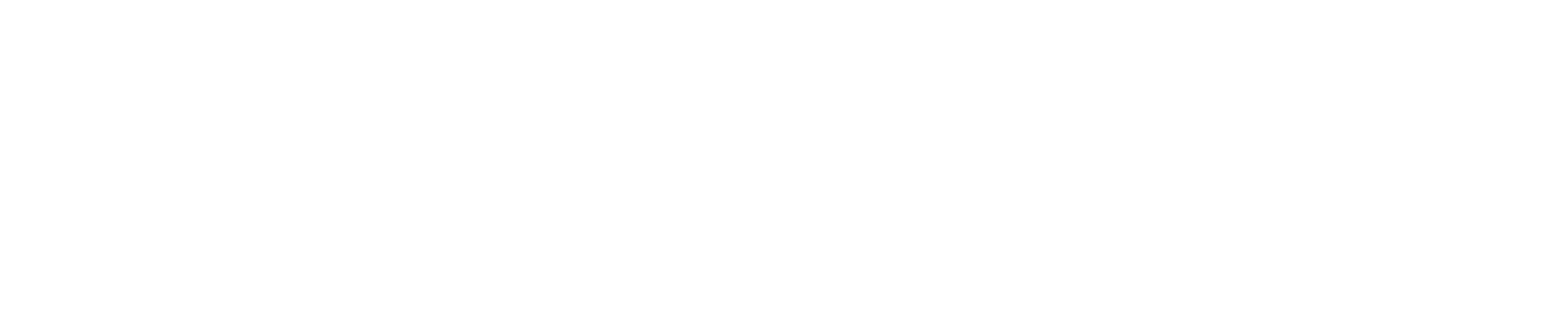 Statista Logo White