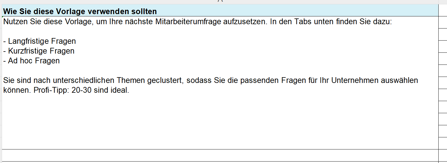 Auszug aus der Mitarbeiterbefragungsvorlage
