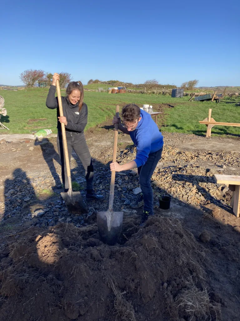 Creating nursery beds for baby trees.