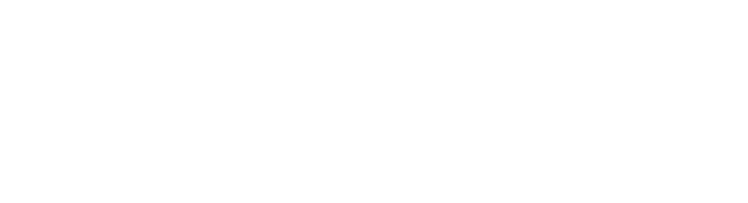 Polaroid Logo White