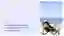 DE_Webinar_Urlaubskonflikte_Feature