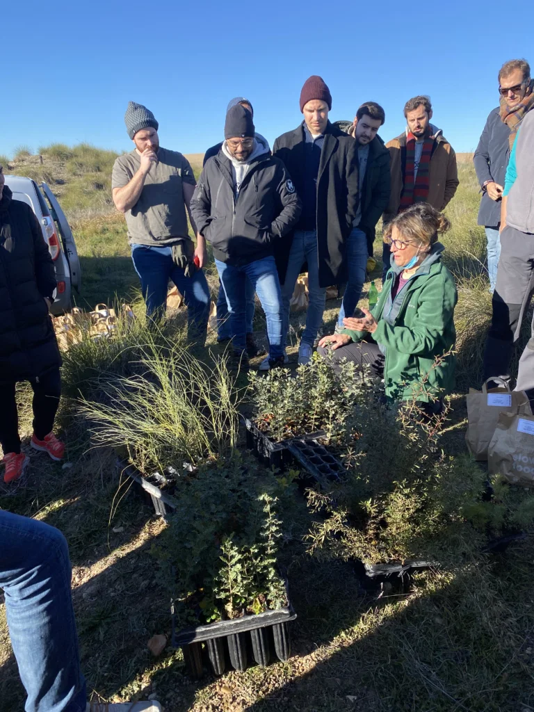 Madrid Personios learning about tree planting.