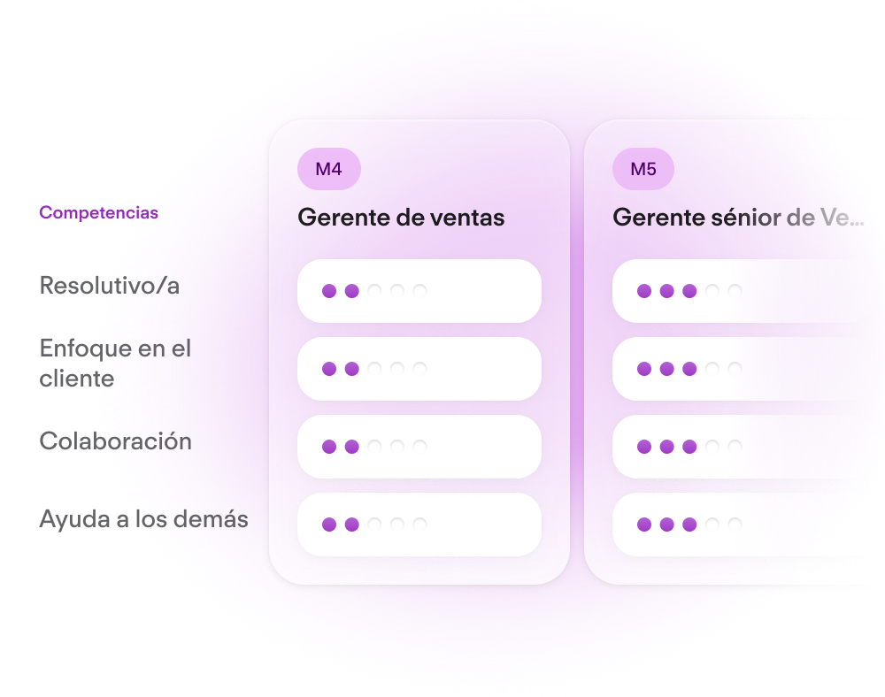 Career Frameworks