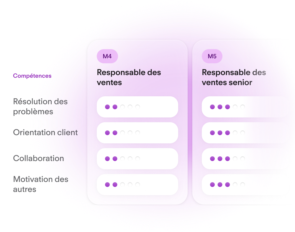 Career Frameworks