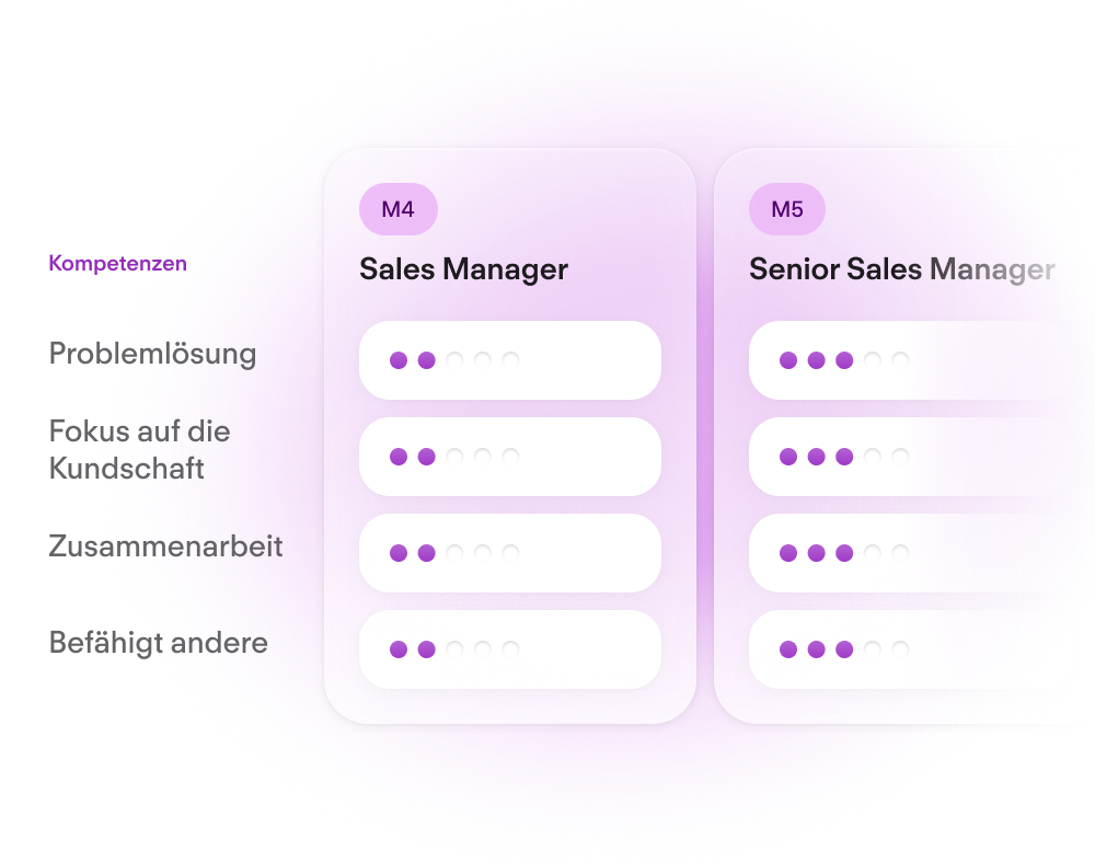Career Frameworks