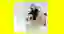 Personio_Newsletter_Vorschau