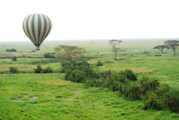 4 Days - Serengeti and Ngorongoro Crater
