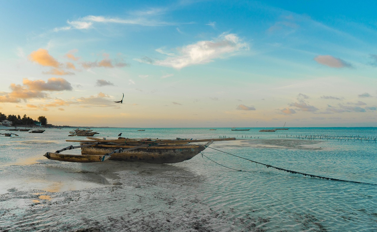 Exploring Zanzibar Photopgraph