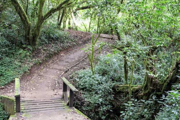 Kilimanjaro is known for its varied terrain from hot, dry savanna, through the rainforest and hardy scrublands, to a rocky and icy summit.