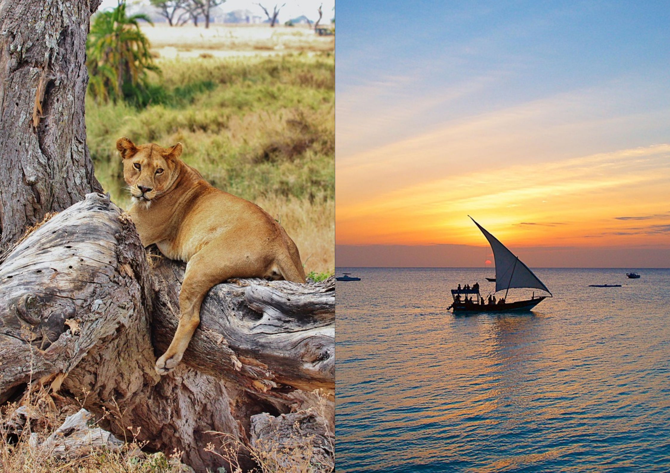 10 Day Safari with Zanzibar Photo Template