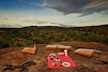 Picnic