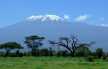 The view of Mt Kilimanjaro from Amboseli National Park. 