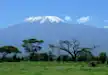 The view of Mt Kilimanjaro from Amboseli National Park.
