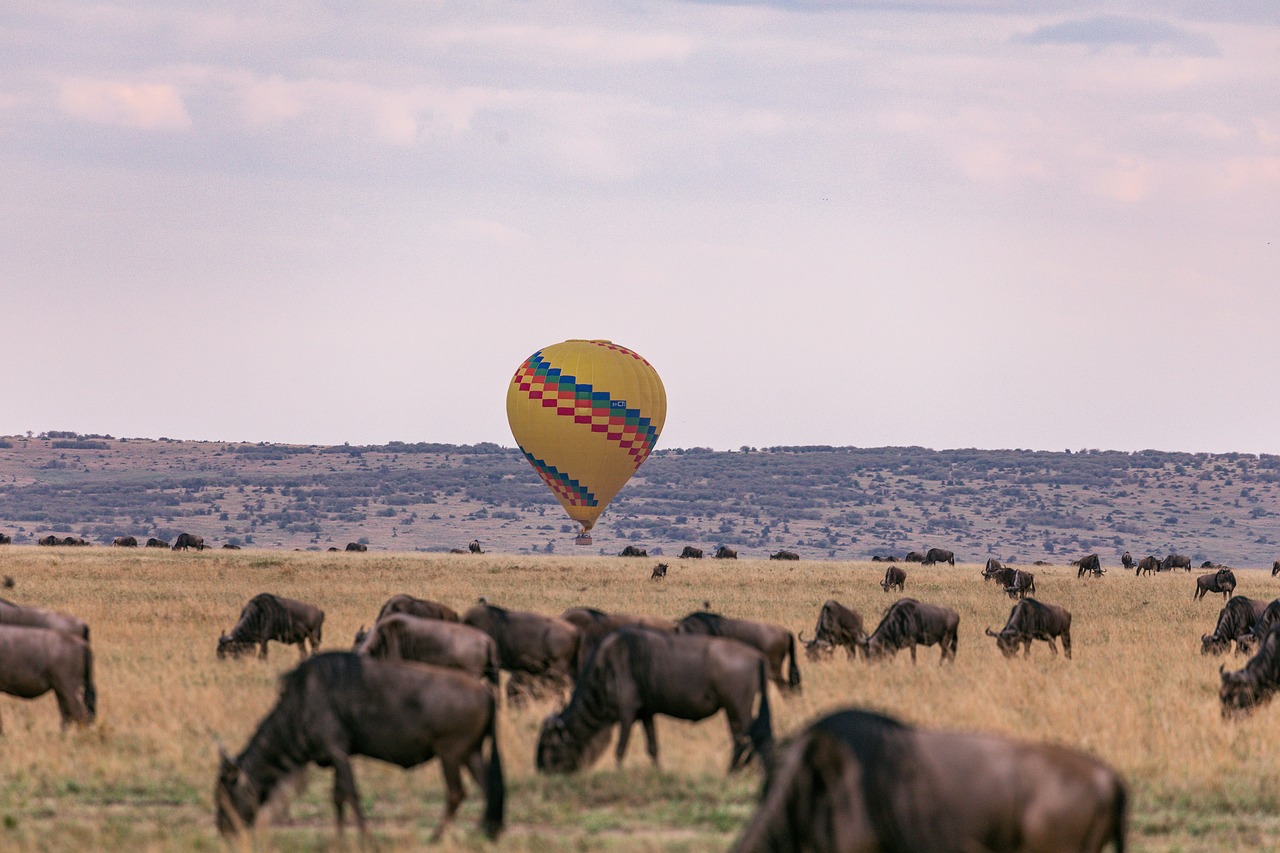 Hot air balloon over migration in Serengeti