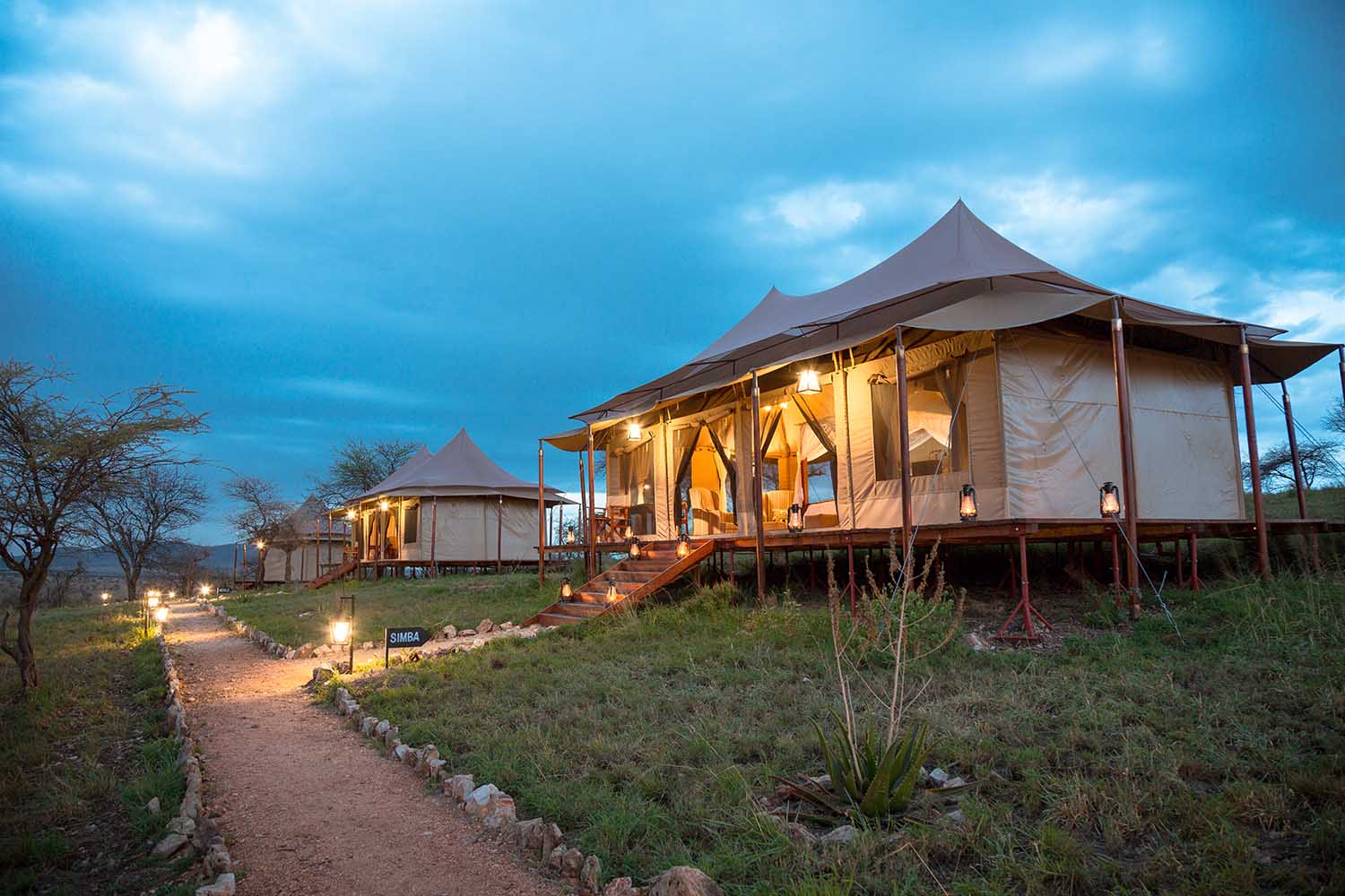 Matawi Serengeti Camps | Monkey Adventures