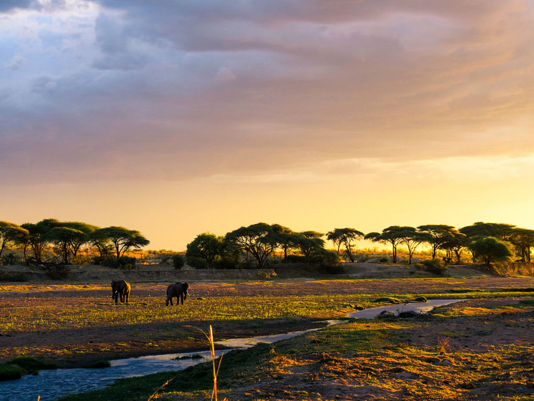 PN Ruaha