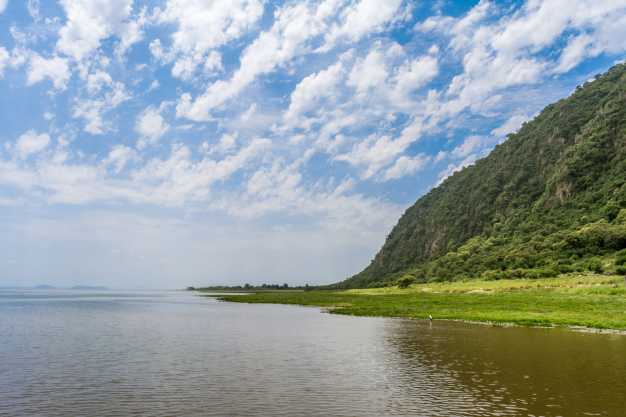 The shoreline of Lake Manyara and the escarpment of the Great Rift Valley dotted with Acacia woodlands, Lake Manyara National Park