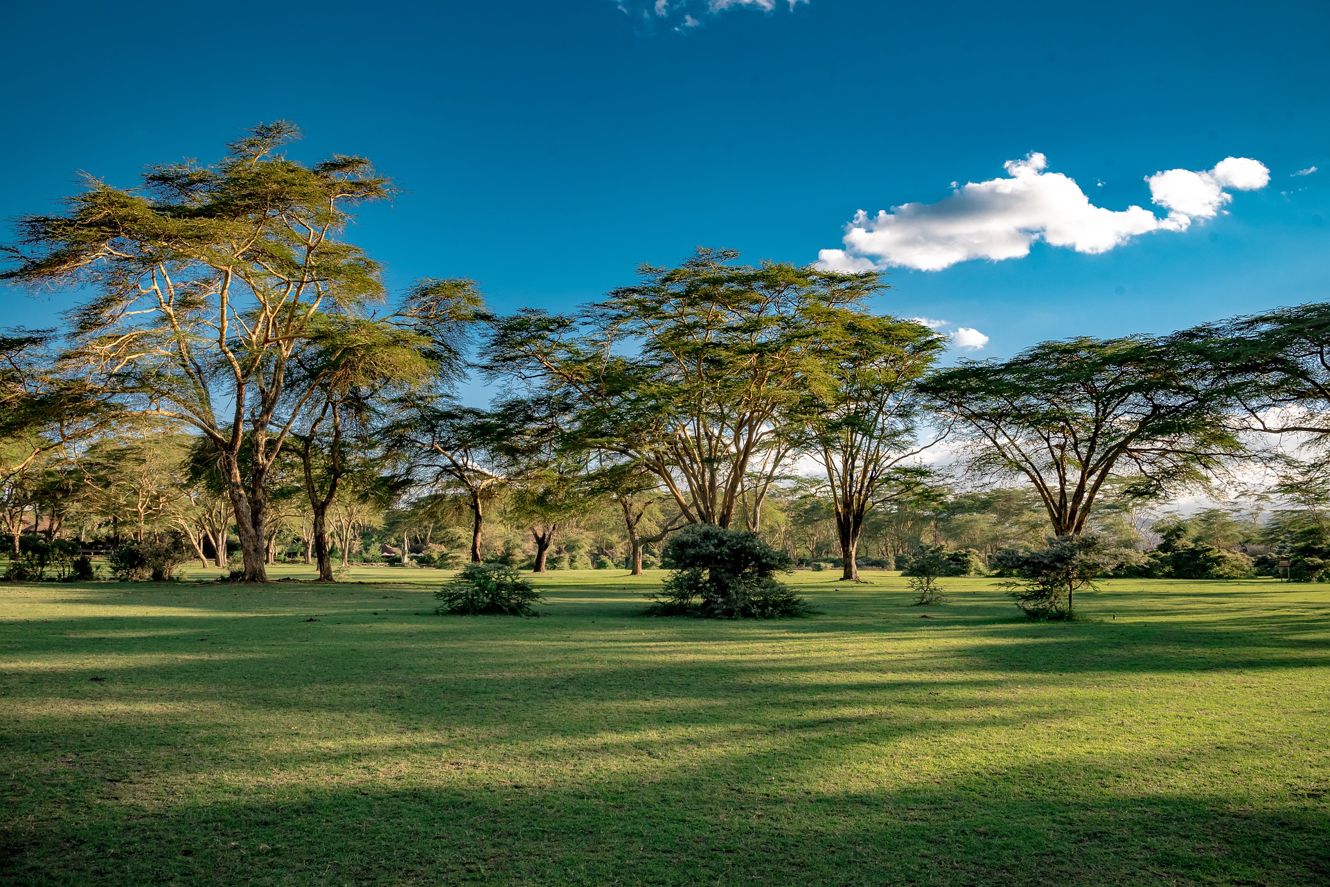 Crescent Island - Lake Naivasha 