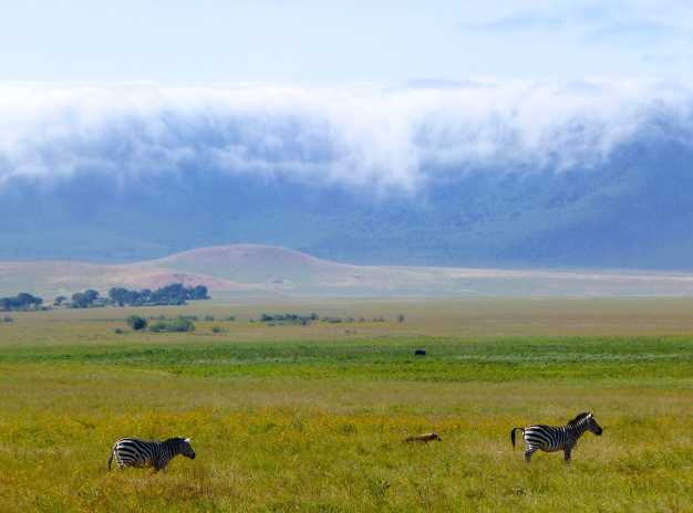 A scenic view of the massive Ngorongoro crater with a backdrop of 1968ft high crater wall