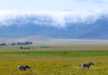 A scenic view of the massive Ngorongoro crater with a backdrop of 1968ft high crater wall