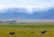 A scenic view of the massive Ngorongoro crater with a backdrop of 1968ft high crater wall