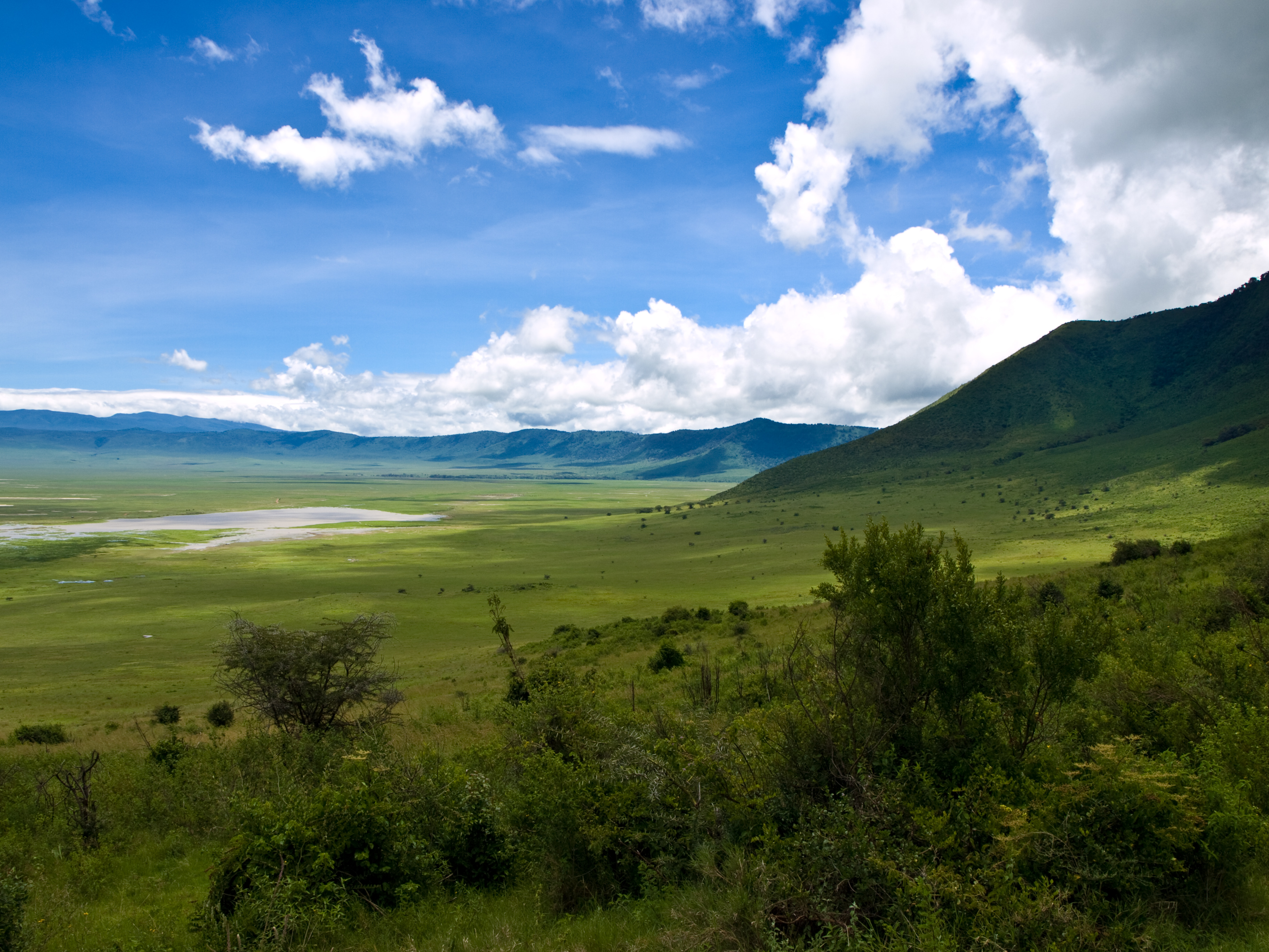 Ngorongoro crater