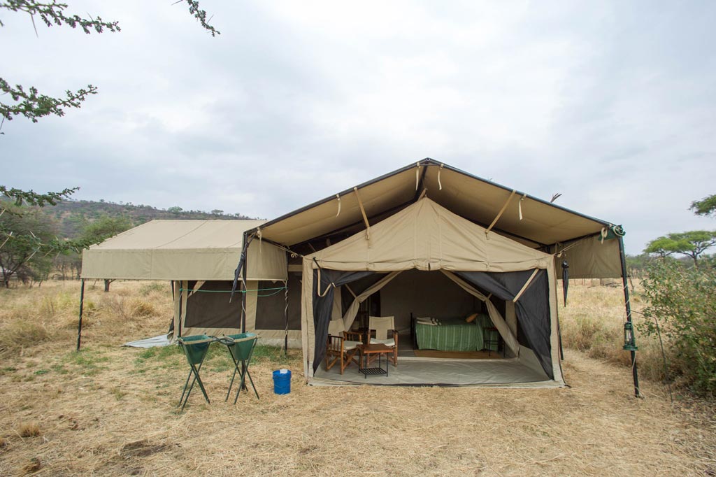 Serengeti Kati Kati Tented Camp - Monkey Adventures
