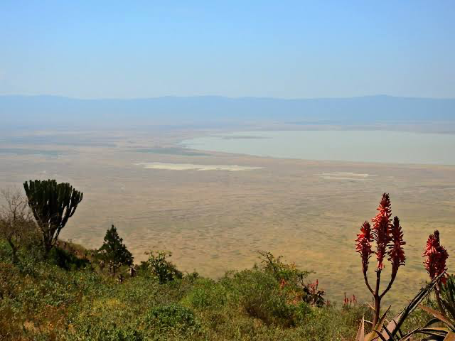 Ngorongoro crater rim