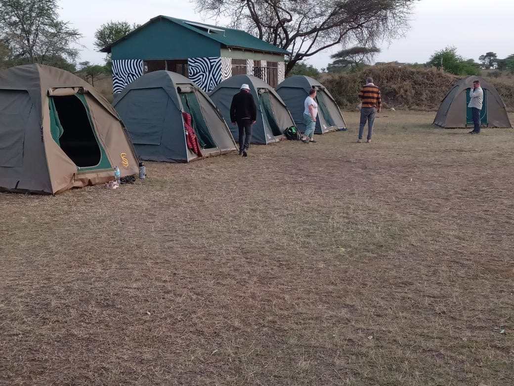 Budget camp tent