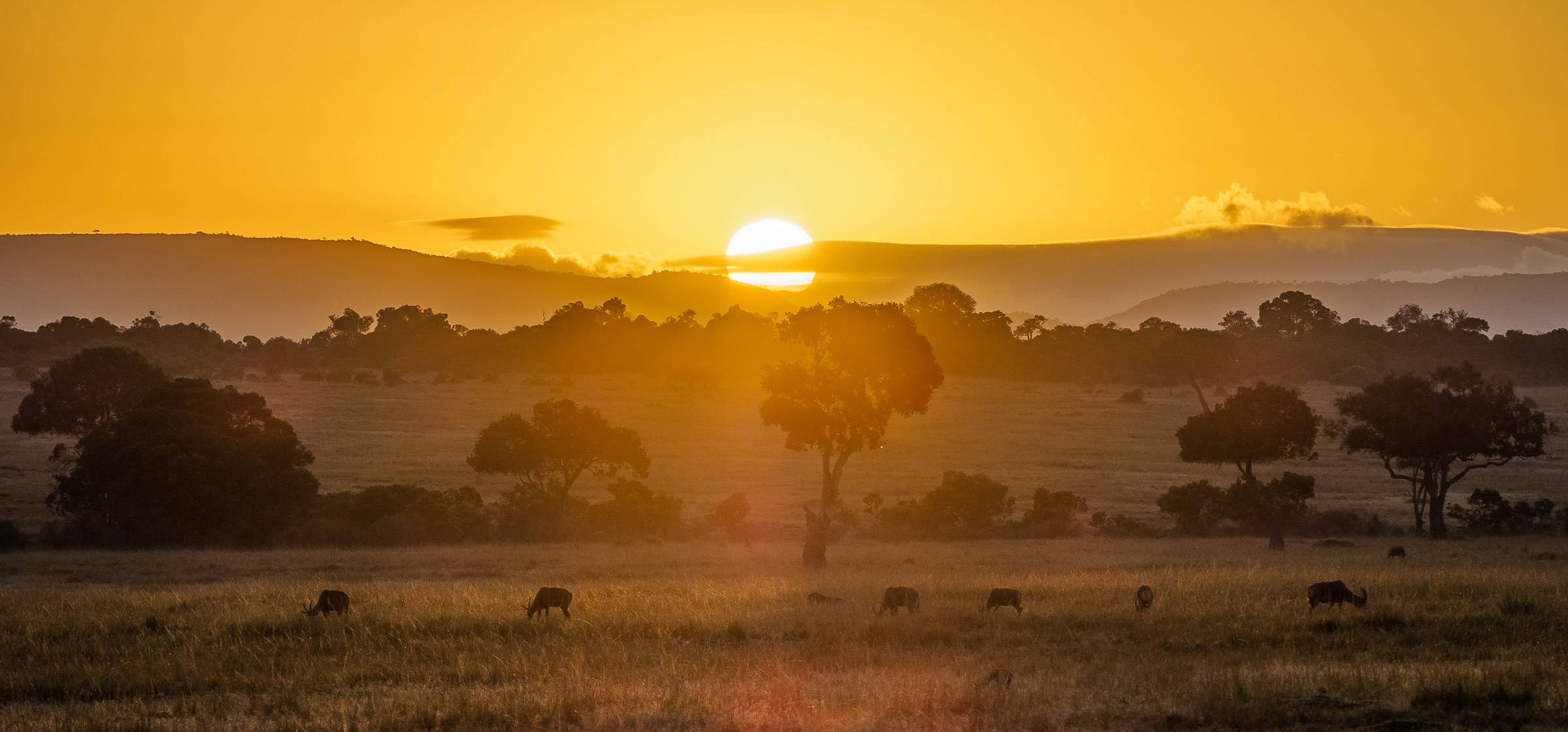 Masai Mara