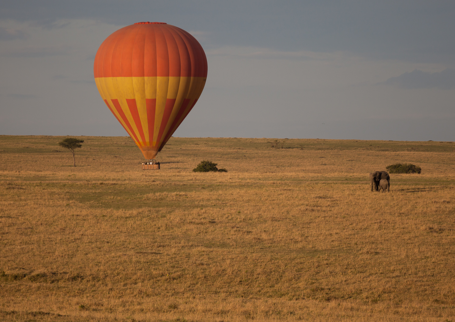 Hot Air Balloon Safari 