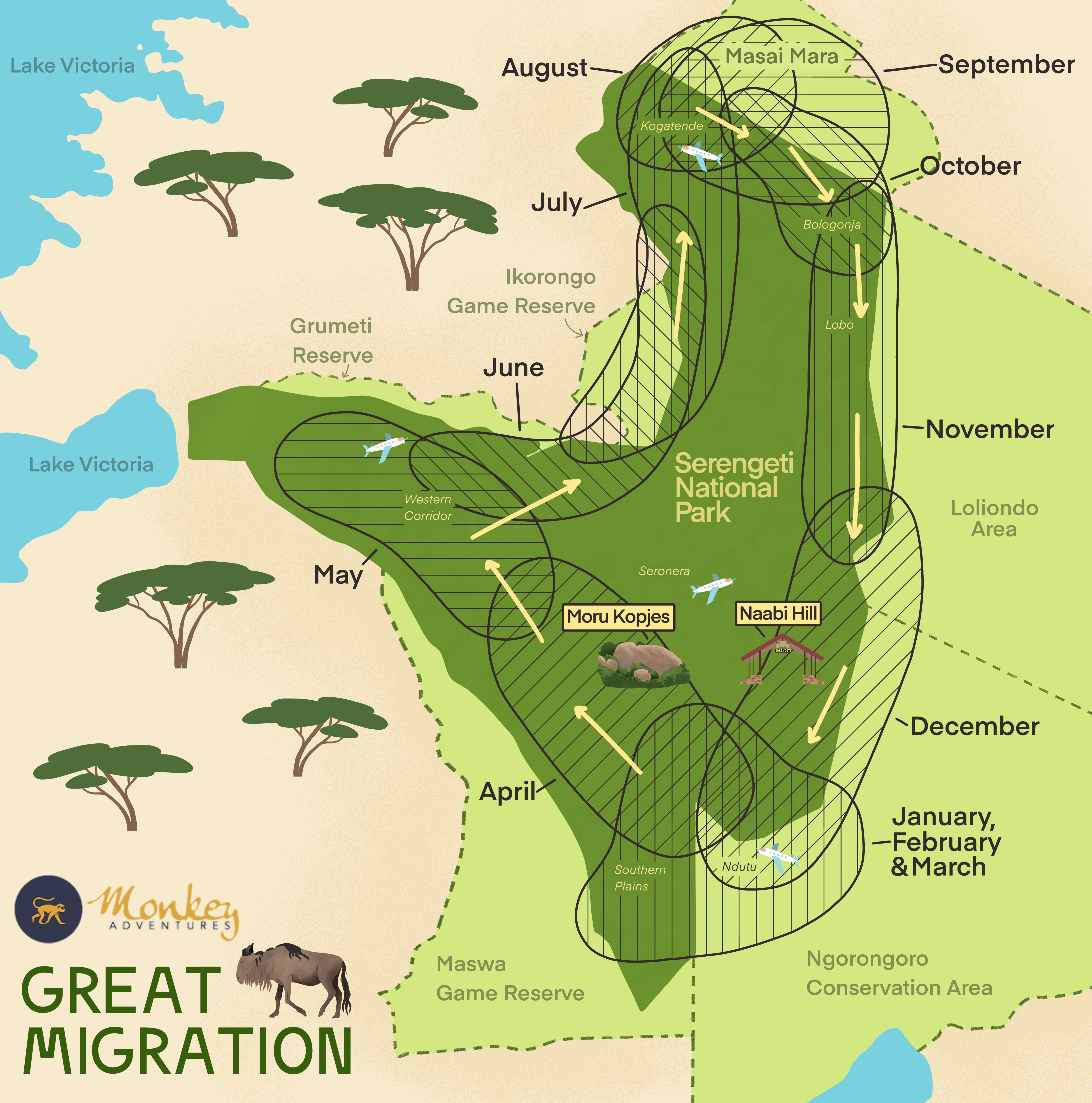 Serengeti Migration pattern