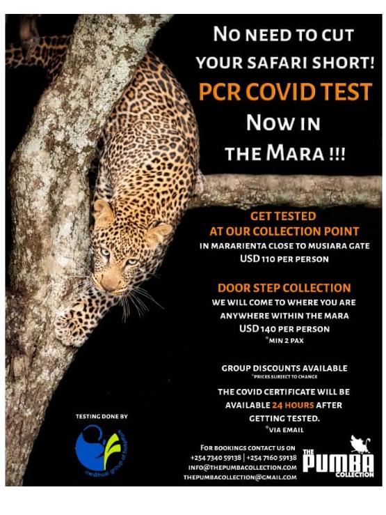 masai mara test