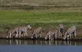 2 Days (Group Joining) Tour to Tarangire & Manyara